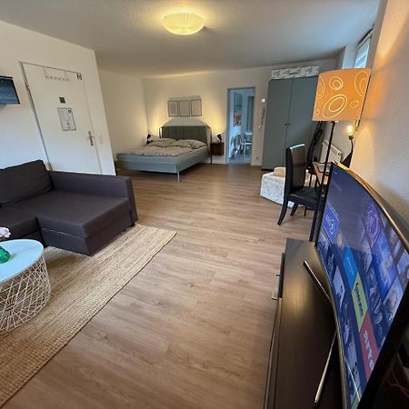 Apartment Regener Lörrach Kültér fotó