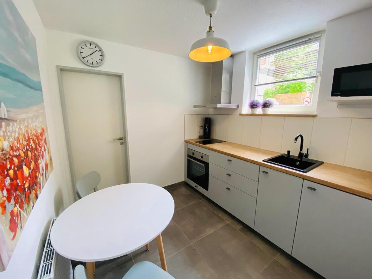 Apartment Regener Lörrach Kültér fotó
