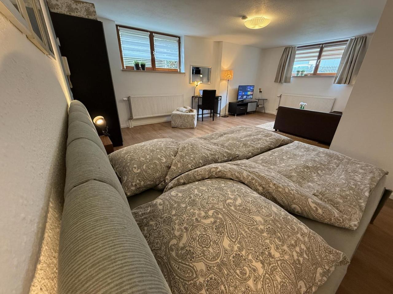 Apartment Regener Lörrach Kültér fotó